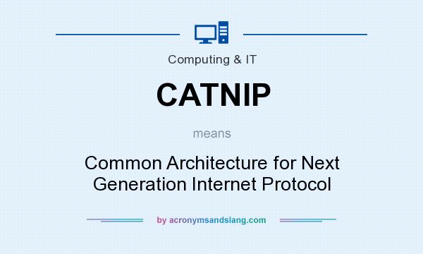 What does CATNIP mean? It stands for Common Architecture for Next Generation Internet Protocol