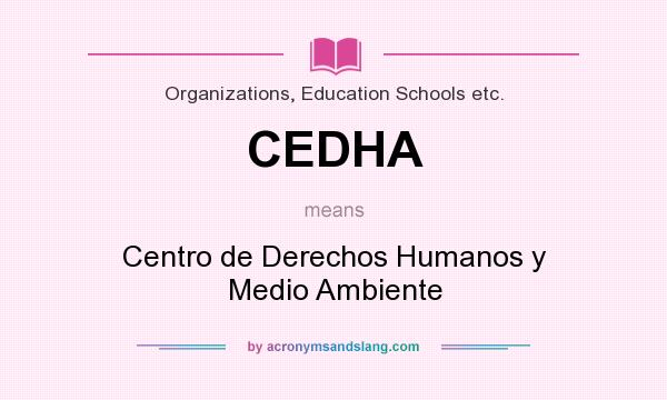 What does CEDHA mean? It stands for Centro de Derechos Humanos y Medio Ambiente