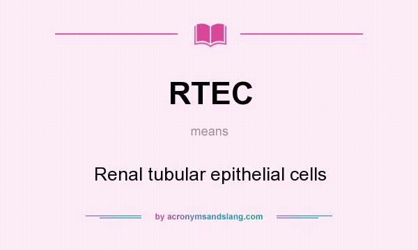 What does RTEC mean? It stands for Renal tubular epithelial cells