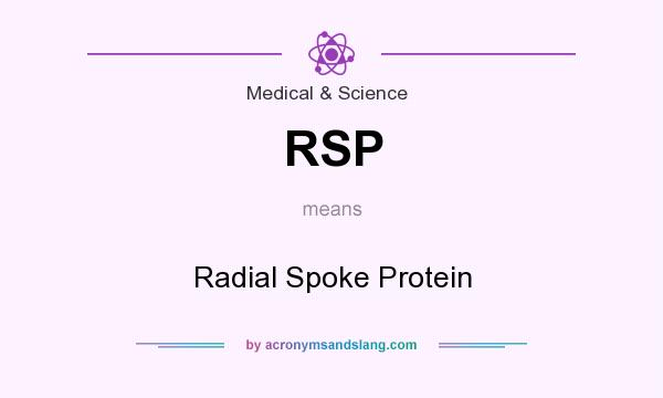 What does RSP mean? It stands for Radial Spoke Protein