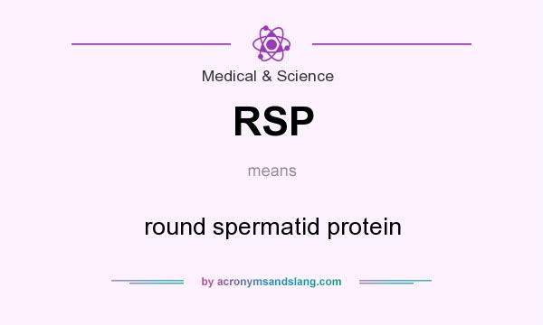 What does RSP mean? It stands for round spermatid protein
