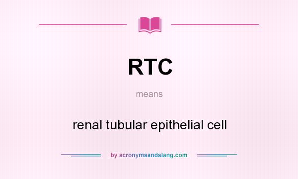 What does RTC mean? It stands for renal tubular epithelial cell