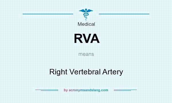 What does RVA mean? It stands for Right Vertebral Artery