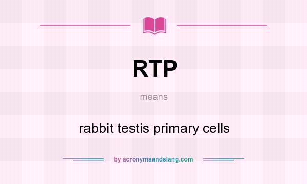 What does RTP mean? It stands for rabbit testis primary cells