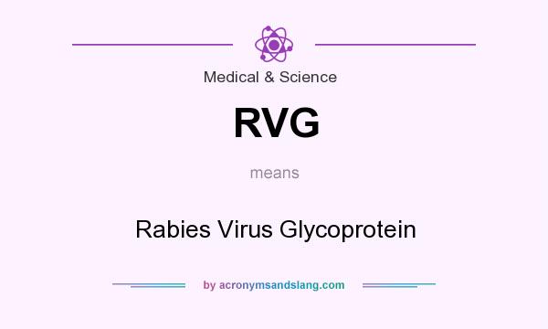 What does RVG mean? It stands for Rabies Virus Glycoprotein