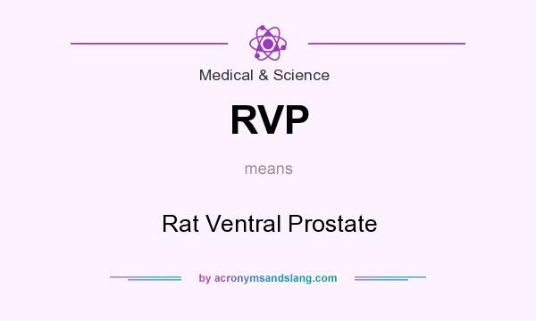 What does RVP mean? It stands for Rat Ventral Prostate