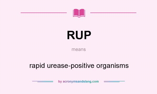 What does RUP mean? It stands for rapid urease-positive organisms