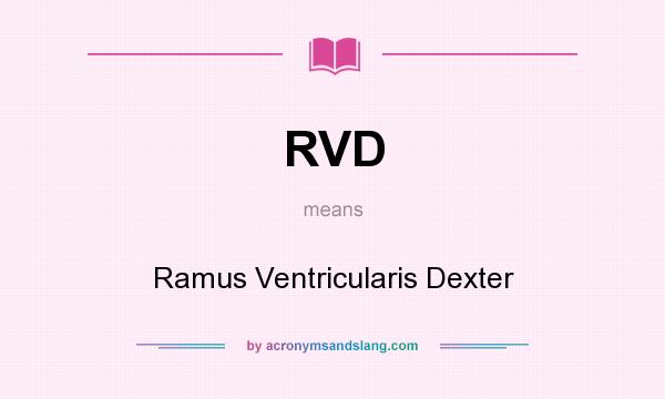 What does RVD mean? It stands for Ramus Ventricularis Dexter