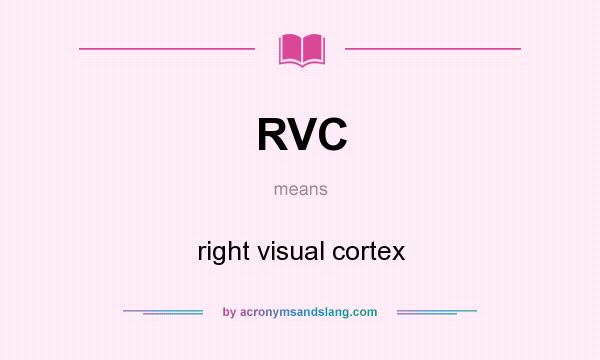 What does RVC mean? It stands for right visual cortex