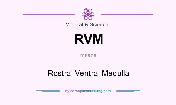 What does RVM mean? It stands for Rostral Ventral Medulla