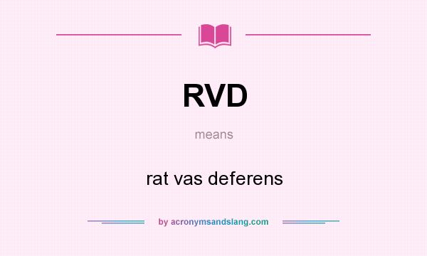 What does RVD mean? It stands for rat vas deferens