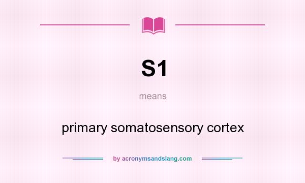 What does S1 mean? It stands for primary somatosensory cortex