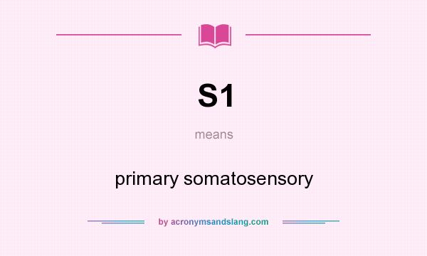What does S1 mean? It stands for primary somatosensory
