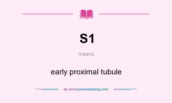 What does S1 mean? It stands for early proximal tubule