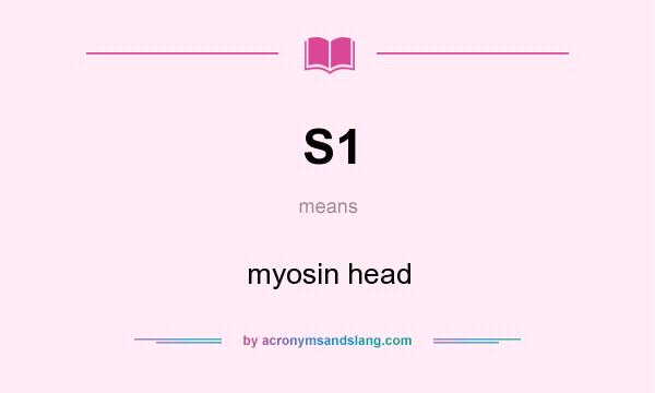 What does S1 mean? It stands for myosin head