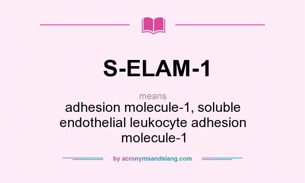 What does S-ELAM-1 mean? It stands for adhesion molecule-1, soluble endothelial leukocyte adhesion molecule-1