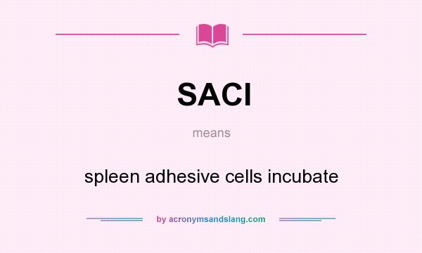 What does SACI mean? It stands for spleen adhesive cells incubate