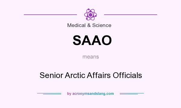 What does SAAO mean? It stands for Senior Arctic Affairs Officials