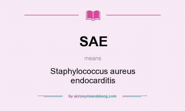 What does SAE mean? It stands for Staphylococcus aureus endocarditis
