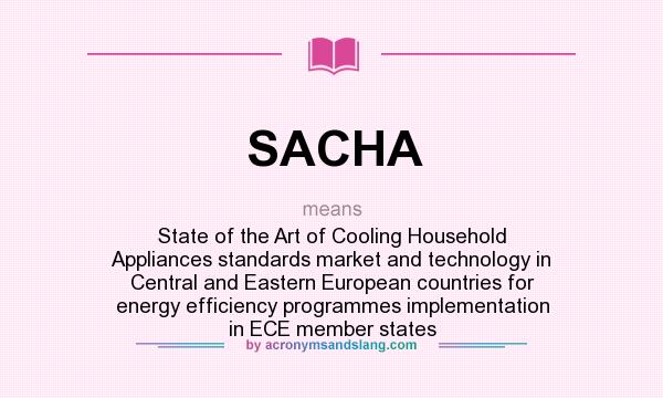 What does SACHA mean? It stands for State of the Art of Cooling Household Appliances standards market and technology in Central and Eastern European countries for energy efficiency programmes implementation in ECE member states