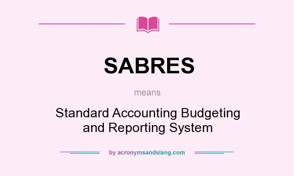 What does SABRES mean? It stands for Standard Accounting Budgeting and Reporting System