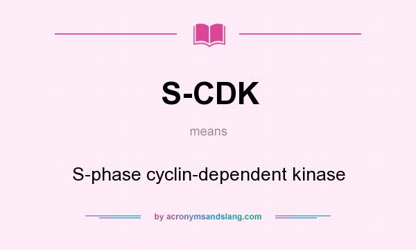 What does S-CDK mean? It stands for S-phase cyclin-dependent kinase