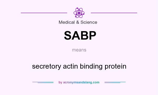 What does SABP mean? It stands for secretory actin binding protein
