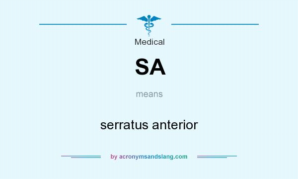 What does SA mean? It stands for serratus anterior