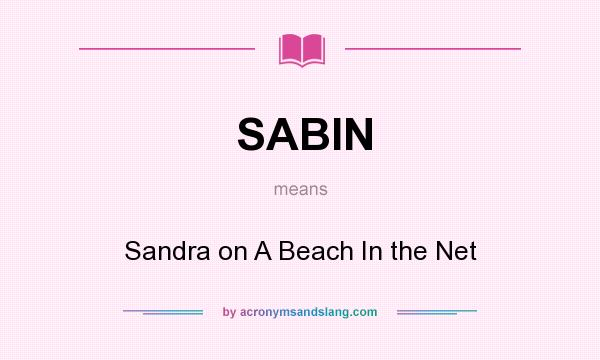 What does SABIN mean? It stands for Sandra on A Beach In the Net