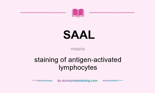 What does SAAL mean? It stands for staining of antigen-activated lymphocytes