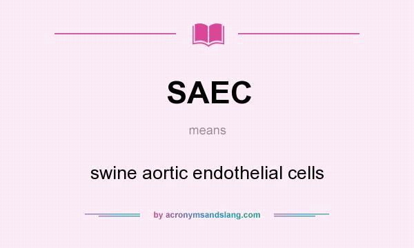 What does SAEC mean? It stands for swine aortic endothelial cells