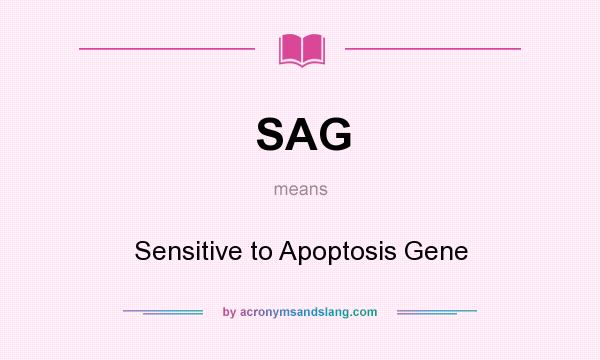What does SAG mean? It stands for Sensitive to Apoptosis Gene