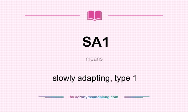 What does SA1 mean? It stands for slowly adapting, type 1