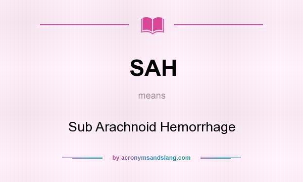 What does SAH mean? It stands for Sub Arachnoid Hemorrhage