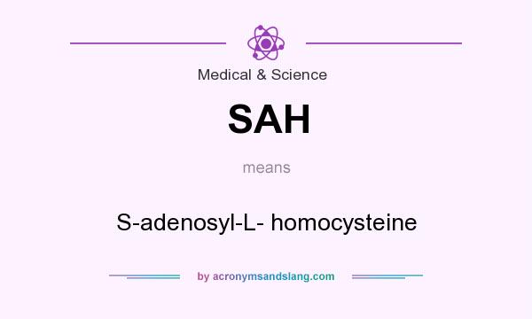 What does SAH mean? It stands for S-adenosyl-L- homocysteine