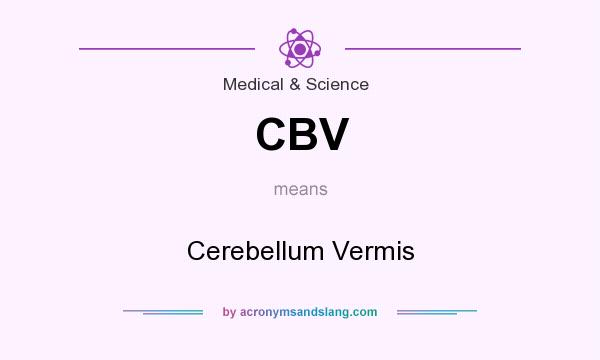 What does CBV mean? It stands for Cerebellum Vermis