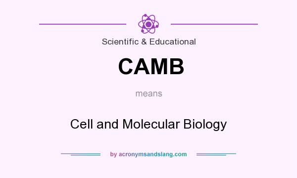 What does CAMB mean? It stands for Cell and Molecular Biology