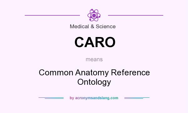 What does CARO mean? It stands for Common Anatomy Reference Ontology