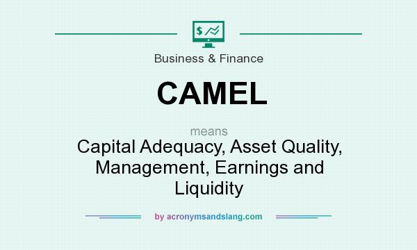 What does CAMEL mean? It stands for Capital Adequacy, Asset Quality, Management, Earnings and Liquidity