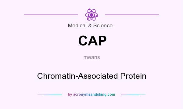 What does CAP mean? It stands for Chromatin-Associated Protein