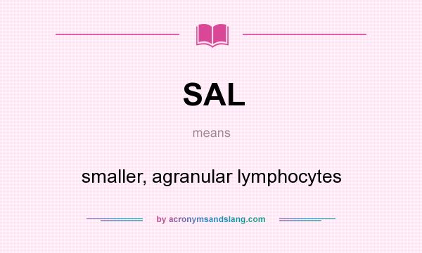 What does SAL mean? It stands for smaller, agranular lymphocytes
