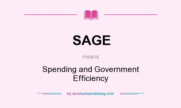 What does SAGE mean? It stands for Spending and Government Efficiency