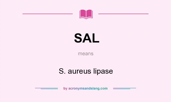 What does SAL mean? It stands for S. aureus lipase