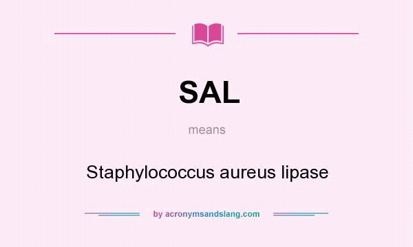 What does SAL mean? It stands for Staphylococcus aureus lipase