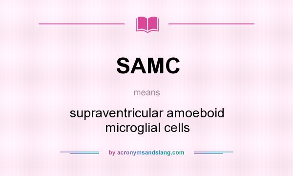 What does SAMC mean? It stands for supraventricular amoeboid microglial cells