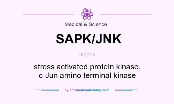 What does SAPK/JNK mean? It stands for stress activated protein kinase, c-Jun amino terminal kinase