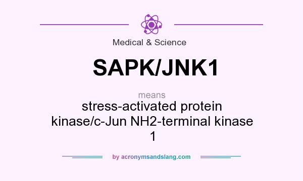 What does SAPK/JNK1 mean? It stands for stress-activated protein kinase/c-Jun NH2-terminal kinase 1