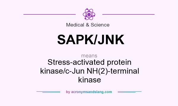 What does SAPK/JNK mean? It stands for Stress-activated protein kinase/c-Jun NH(2)-terminal kinase