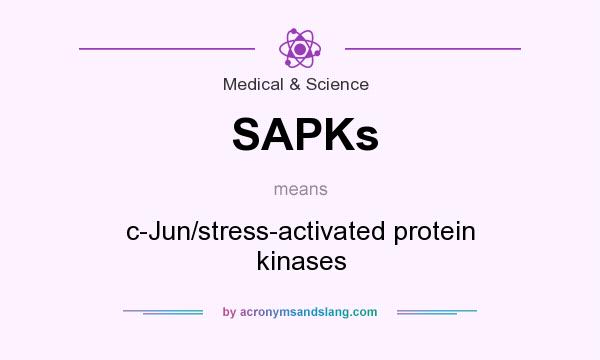 What does SAPKs mean? It stands for c-Jun/stress-activated protein kinases