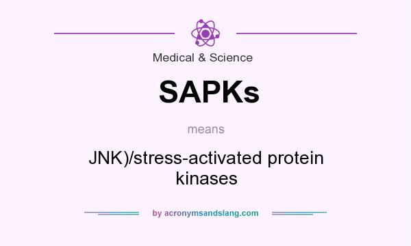What does SAPKs mean? It stands for JNK)/stress-activated protein kinases